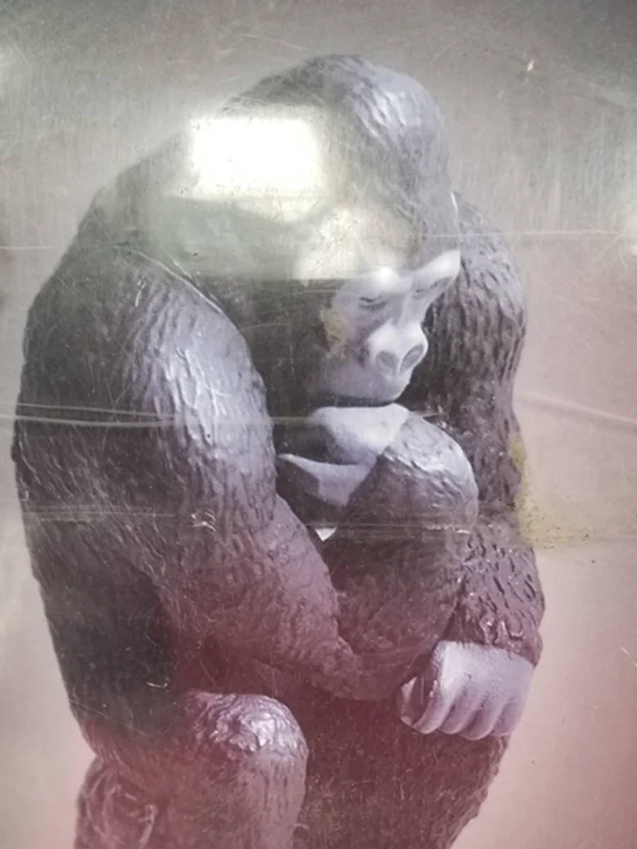 運営B・SINCE YOU...α所属のホスト写真