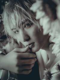 天志（癒し系・TOP DANDY vivid）